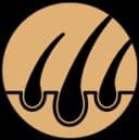 Certificación 4